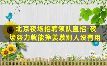 北京夜场招聘领队直招-夜场努力就能挣羡慕别人没有用